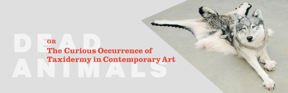 Banner: Dead Animals, or The Curious Occurrence of Taxidermy in Contemporary Art