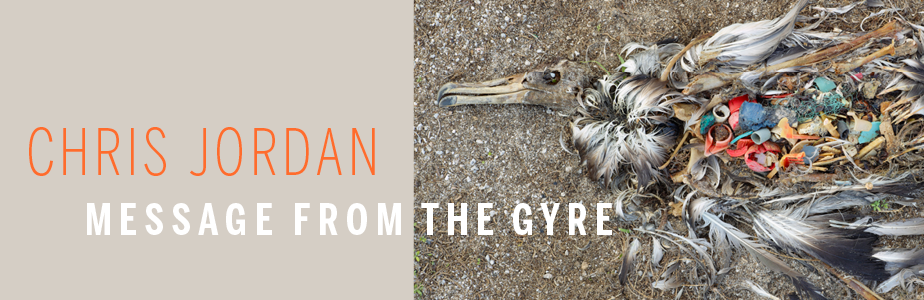 Banner for Chris Jordan: Message from the Gyre