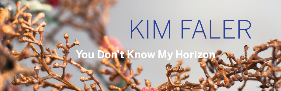 Banner: Kim Faler - You Don't Know My Horizon