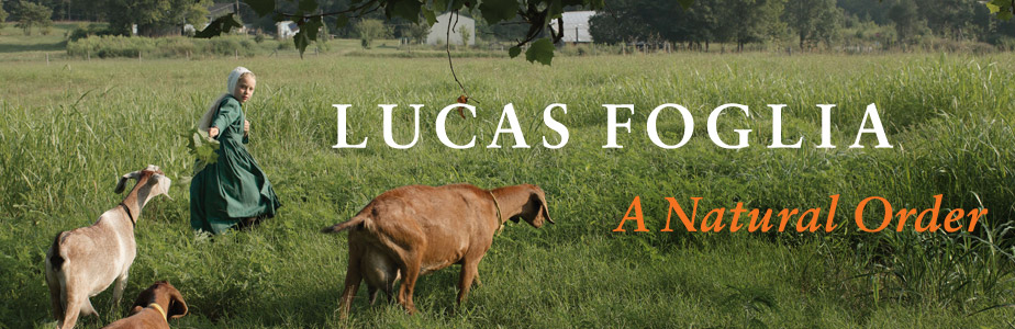 Banner - Lucas Foglia: A Natural Order