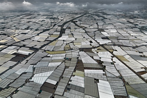 An aerial photograph of greenhouses in Spain