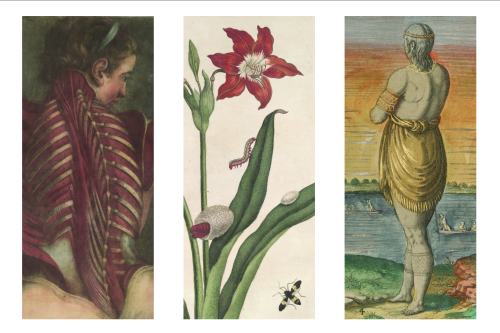 Three images, left to right: one of a woman with a surgically open back, the second of a flower with a caterpillar, cocoon, and butterfly, the third of a grayish woman staring out into a river with rowers and a sunset beyond 