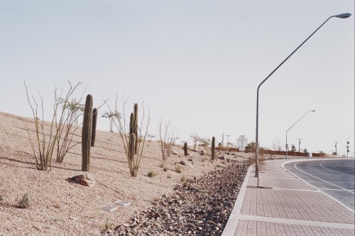 A rocky desert landscape featuring a variety of cacti under a clear sky, a brick-paved sidewalk with streetlamps, and a highway curving off to the right.