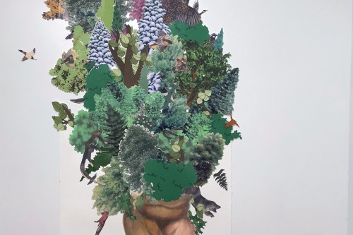 fertile ground: Zoë Charlton, The Country a Wilderness Unsubdued