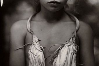 Night-Blooming Cereus, 1988