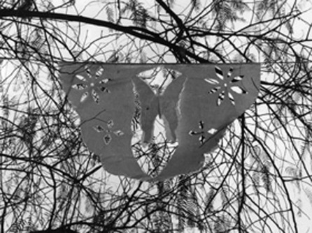 Black and white photograph of a butterfly cut out among the branches of a tree